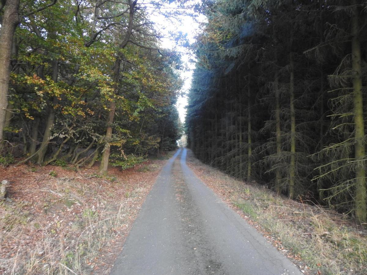 Bergblick Leilighet Medebach Eksteriør bilde